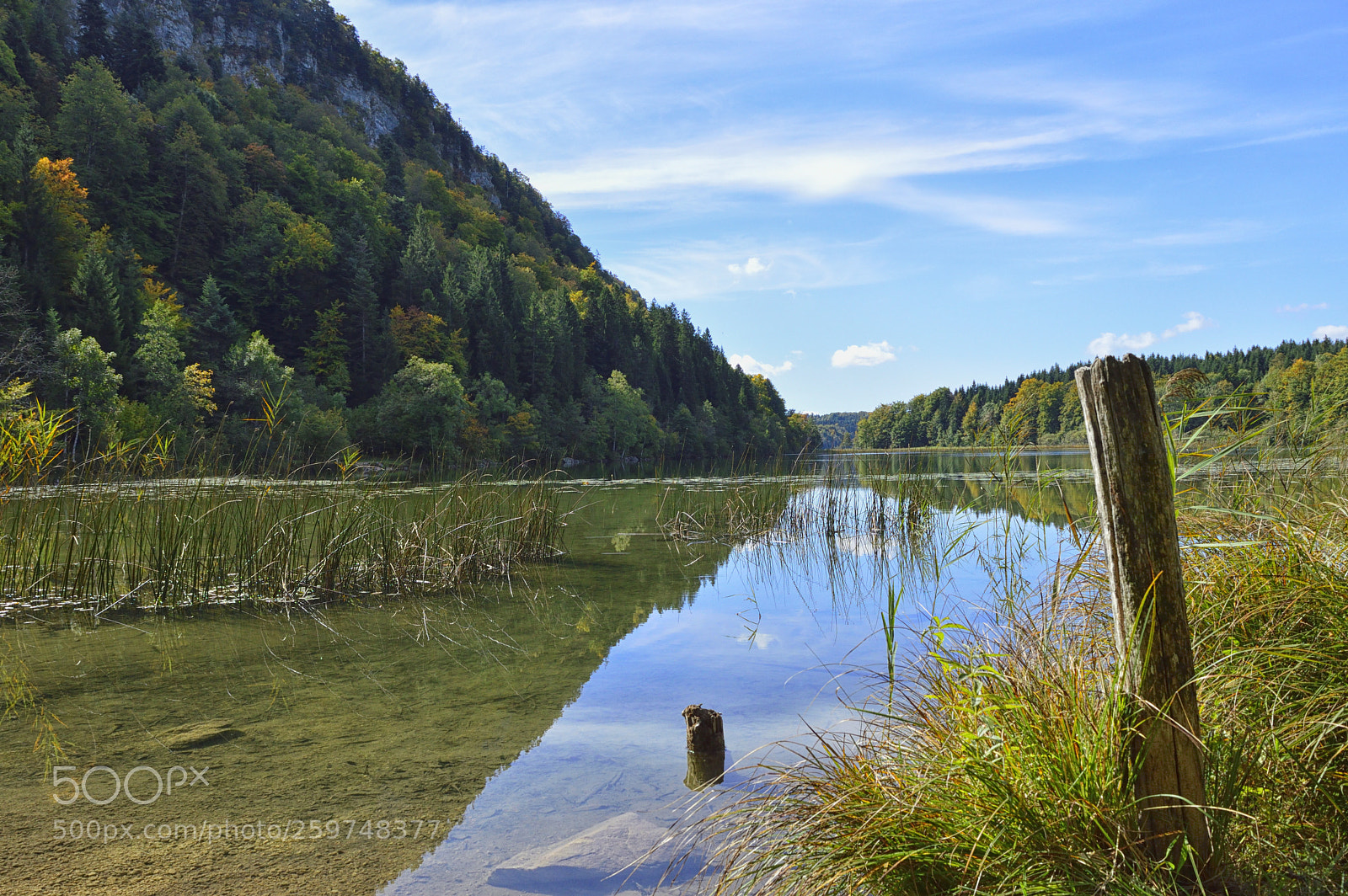 Nikon D3200 sample photo. Le petit maclu 01 photography