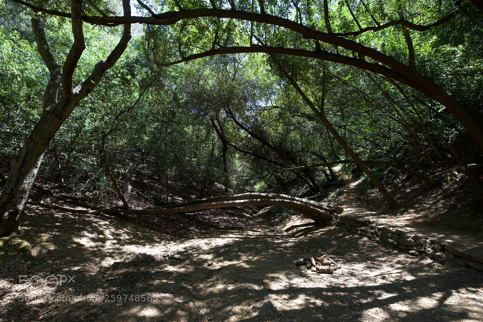 Sony a7 sample photo. Lake chabot regional park photography