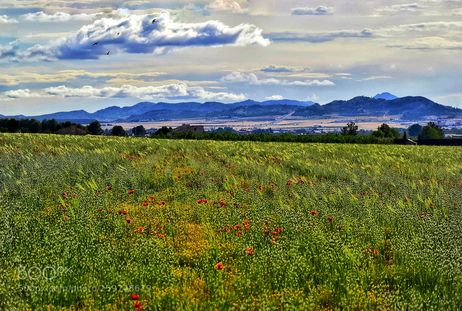 Nikon D5500 sample photo. Rural photography
