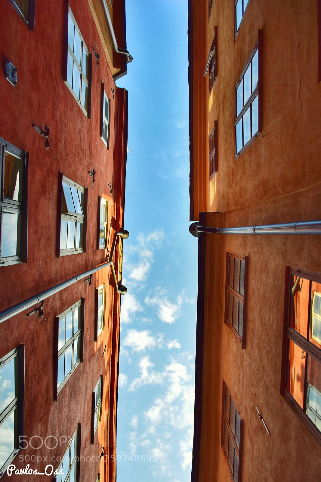 Nikon D5300 sample photo. Just looking up photography