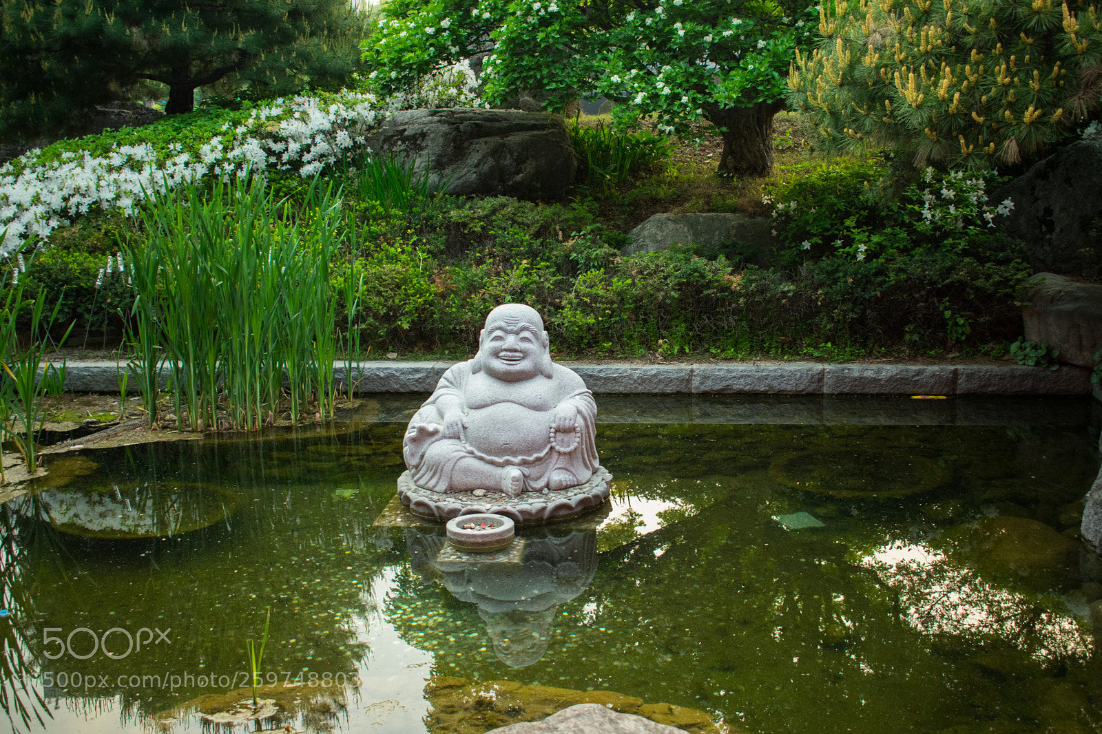 Nikon D3400 sample photo. The happy buddha photography