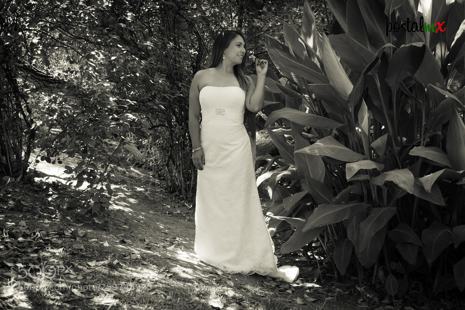 Nikon D5500 sample photo. Selene. photography