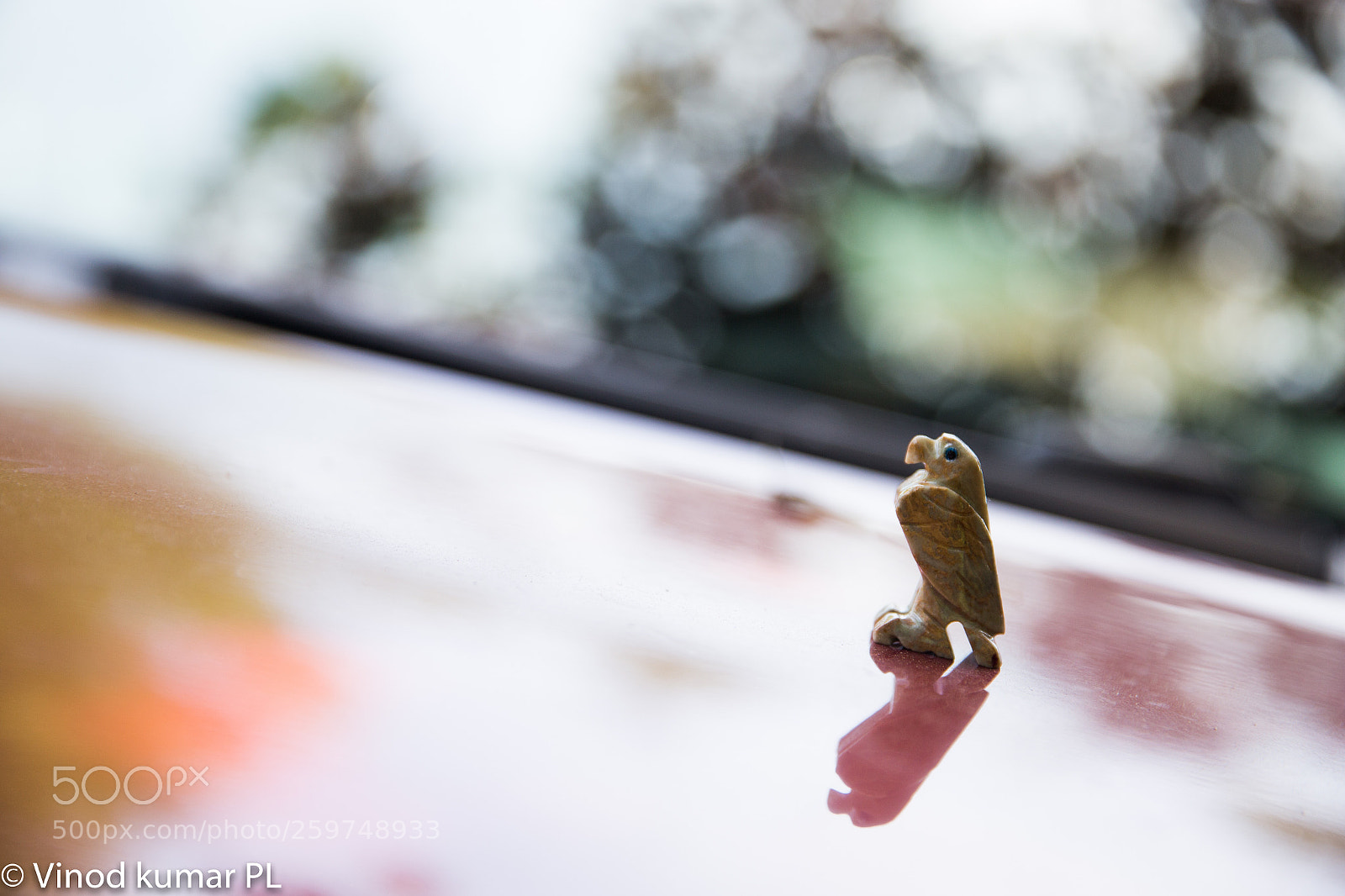 Canon EOS 6D sample photo. Untitled photography