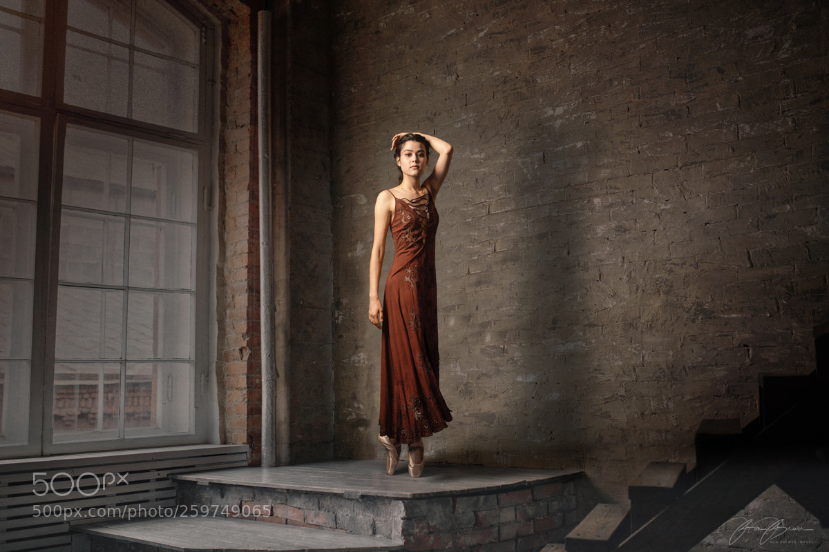 Nikon D800 sample photo. Untitled photography