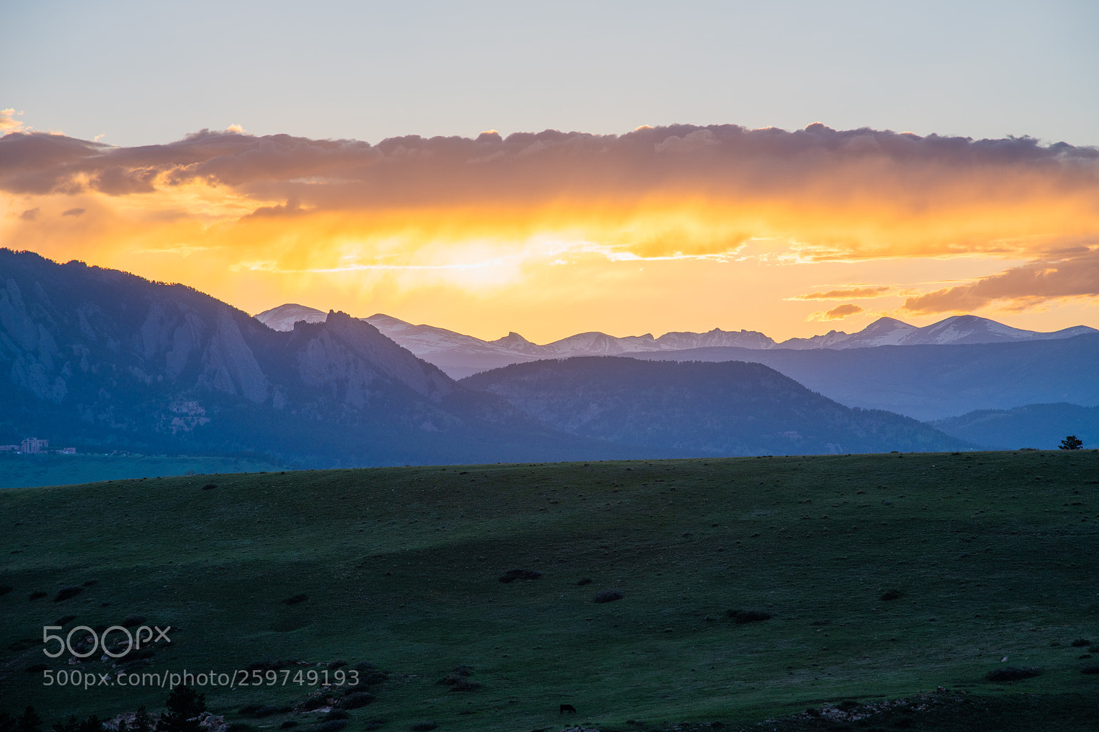 Nikon D850 sample photo. 66th view photography