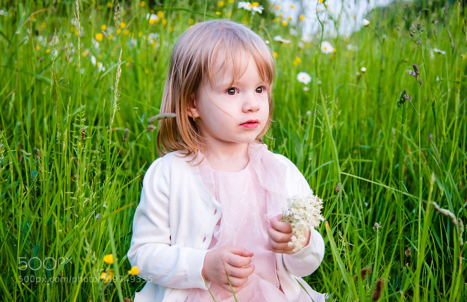 Nikon D800 sample photo. My beautiful daughter, eliza photography