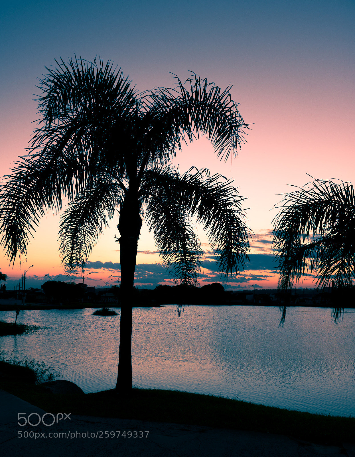 Canon EOS 750D (EOS Rebel T6i / EOS Kiss X8i) sample photo. Lagoa do jacaré photography
