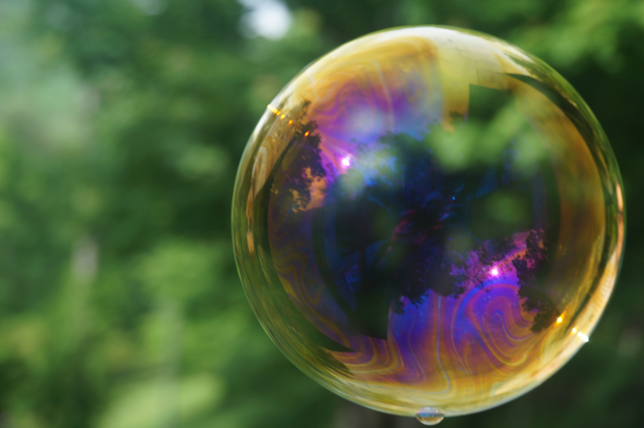 Sony Alpha NEX-5T sample photo. Bubble
 photography