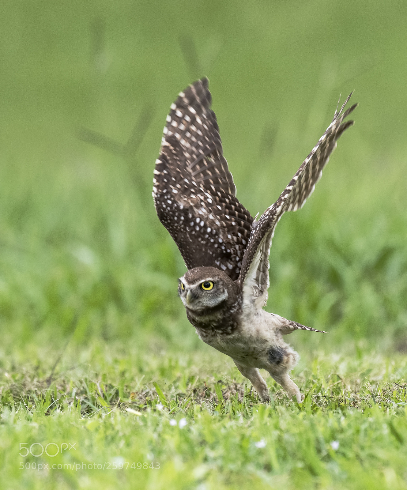 Nikon D850 sample photo. Ready, set, go !!!!!!!!!!!! photography