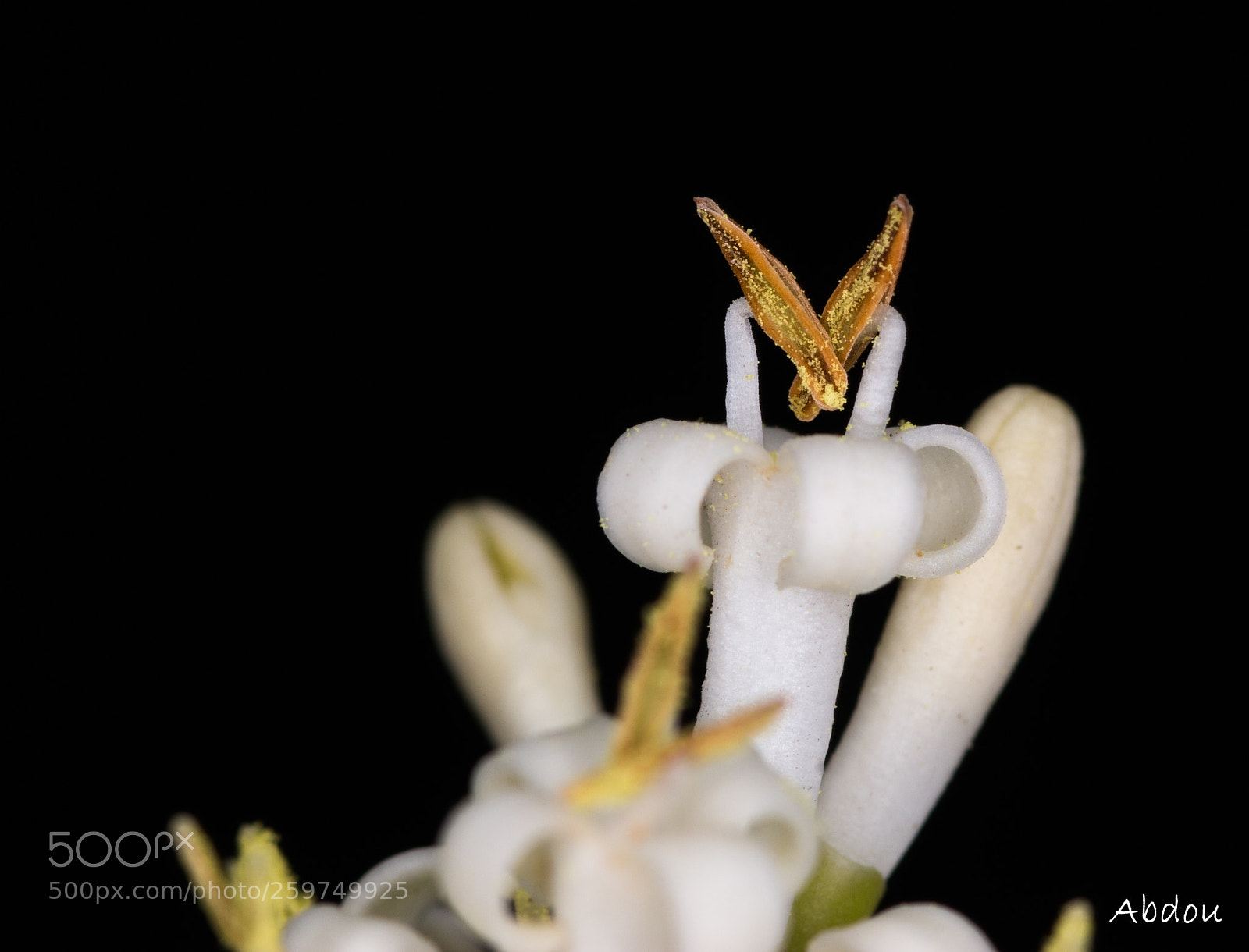 Canon EOS 70D sample photo. Untitled photography
