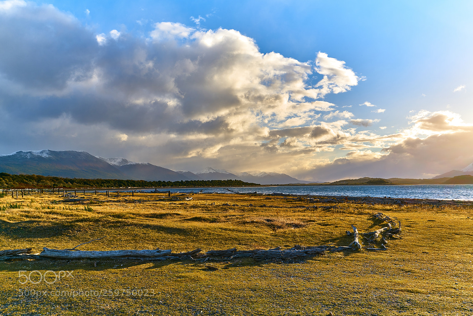 Sony a7R II sample photo. The colony of penguins photography