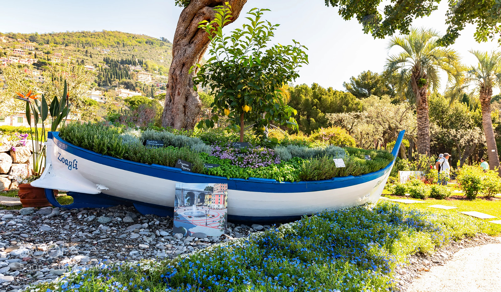 Nikon D810 sample photo. La barchetta di zoagli photography