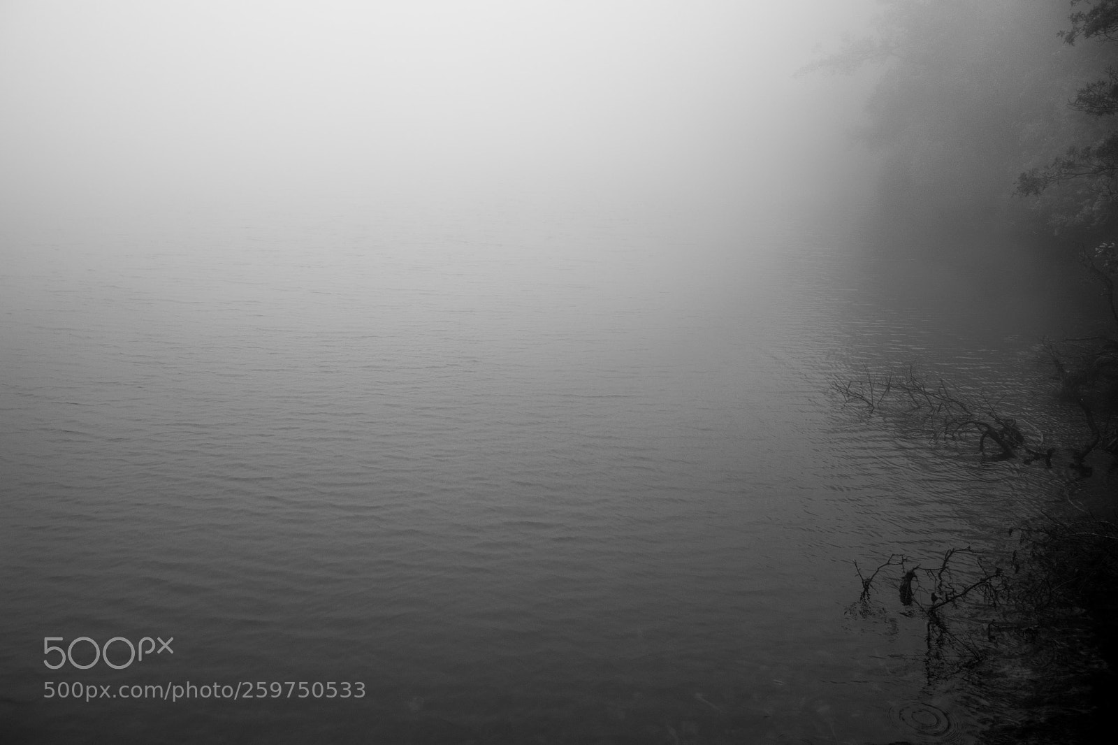 Nikon D7100 sample photo. Laguna barva photography