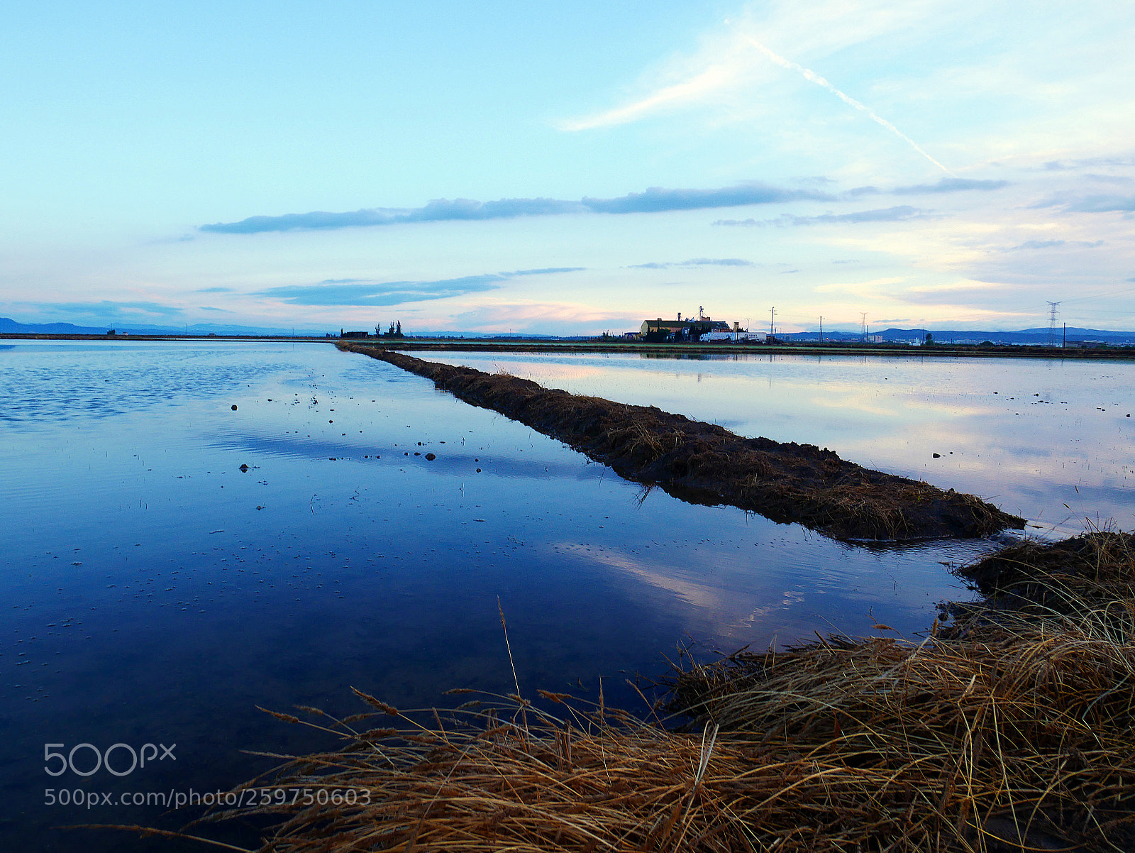 Panasonic Lumix DMC-GX85 (Lumix DMC-GX80 / Lumix DMC-GX7 Mark II) sample photo. Azul photography