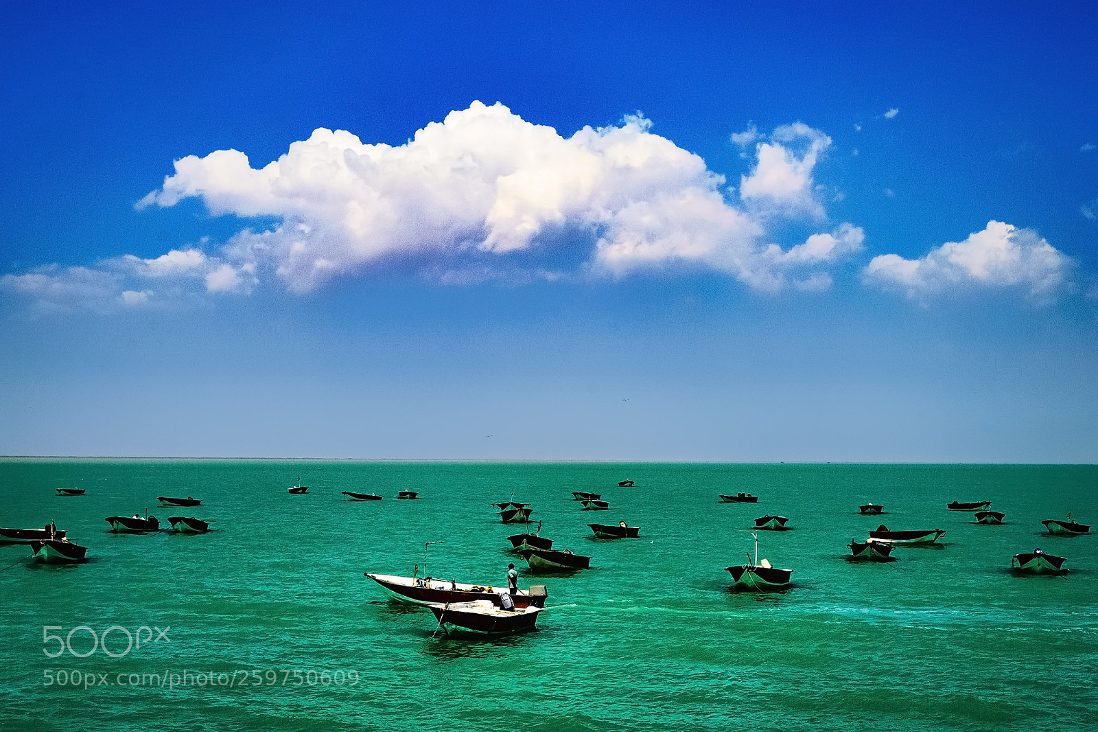 Nikon D3100 sample photo. Sea photography