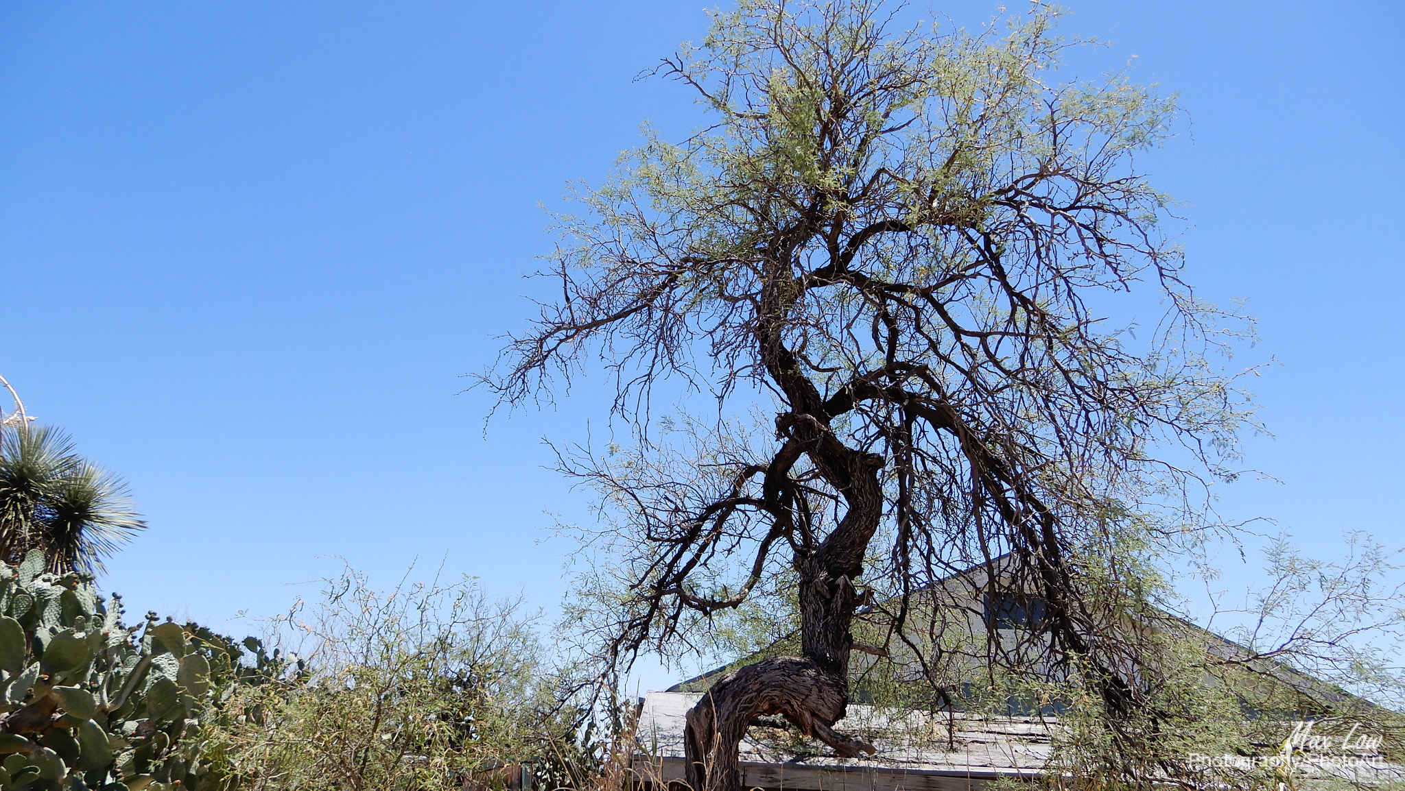Nikon Coolpix A900 sample photo. Arizona sunday 27-apr-2018 photography