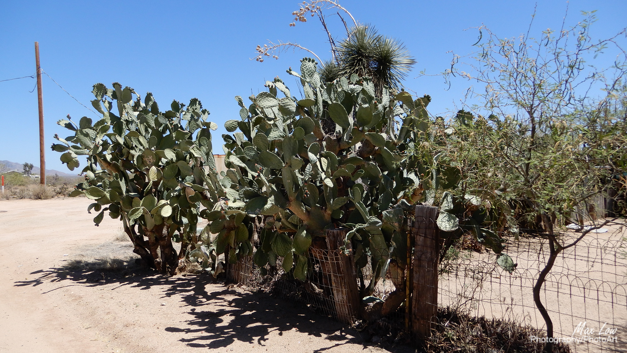 Nikon Coolpix A900 sample photo. Arizona sunday 27-apr-2018 photography