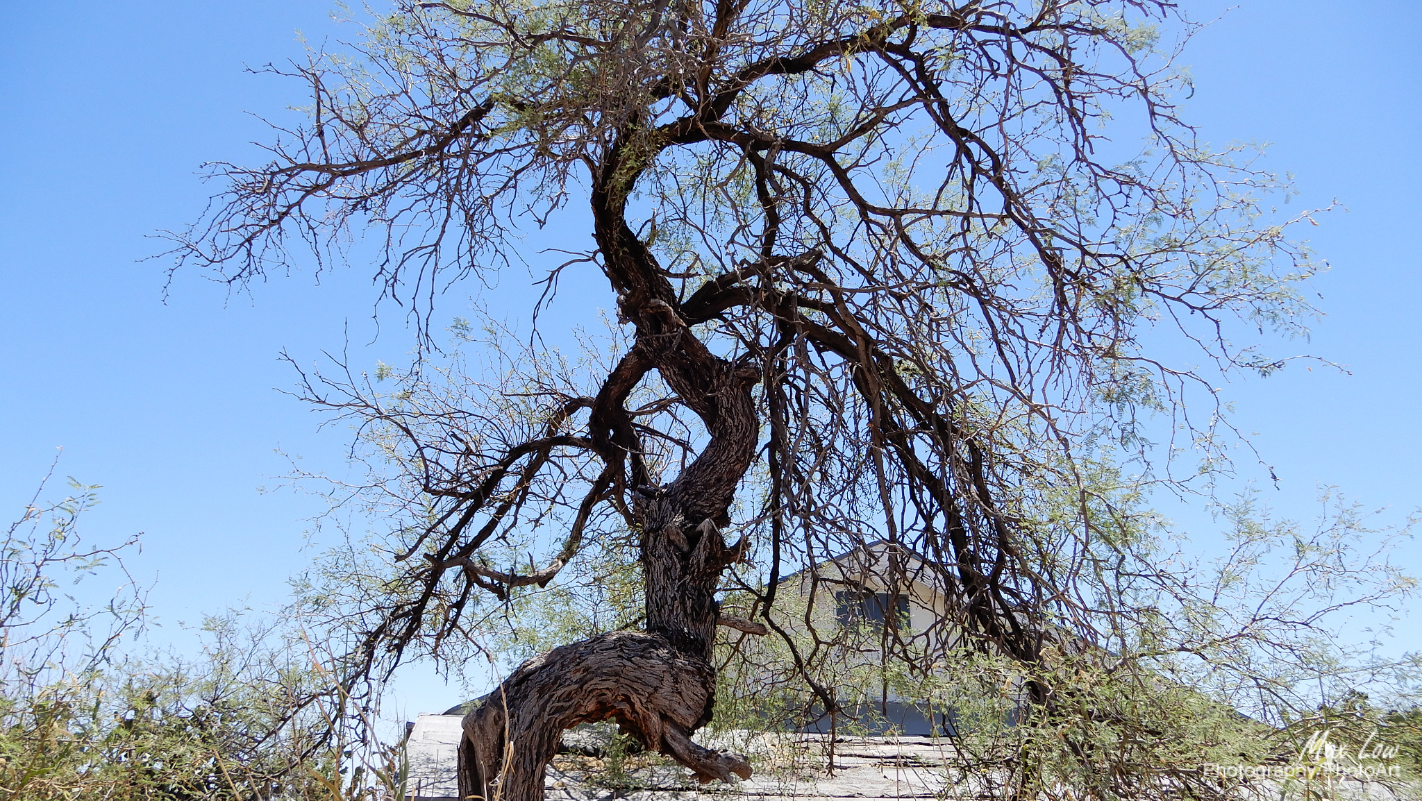 Nikon Coolpix A900 sample photo. Arizona sunday 27-apr-2018 photography