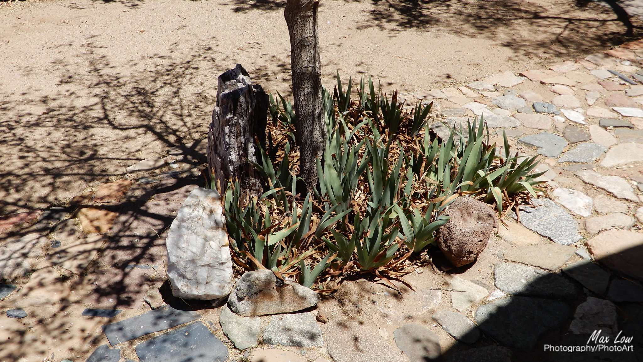 Nikon Coolpix A900 sample photo. Arizona sunday 27-apr-2018 photography