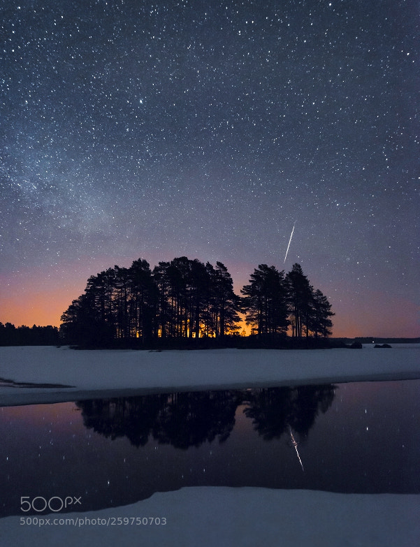 Nikon D800 sample photo. Shooting star photography