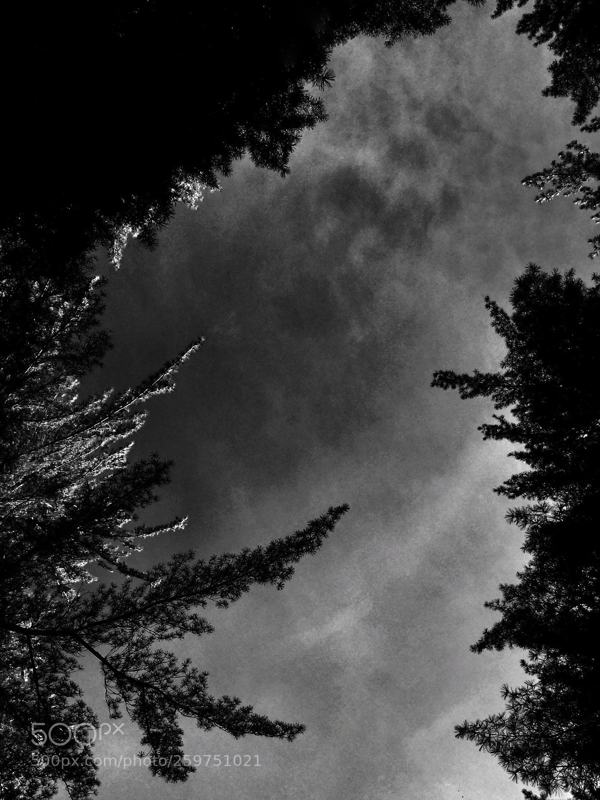 Apple iPod touch sample photo. Untitled photography