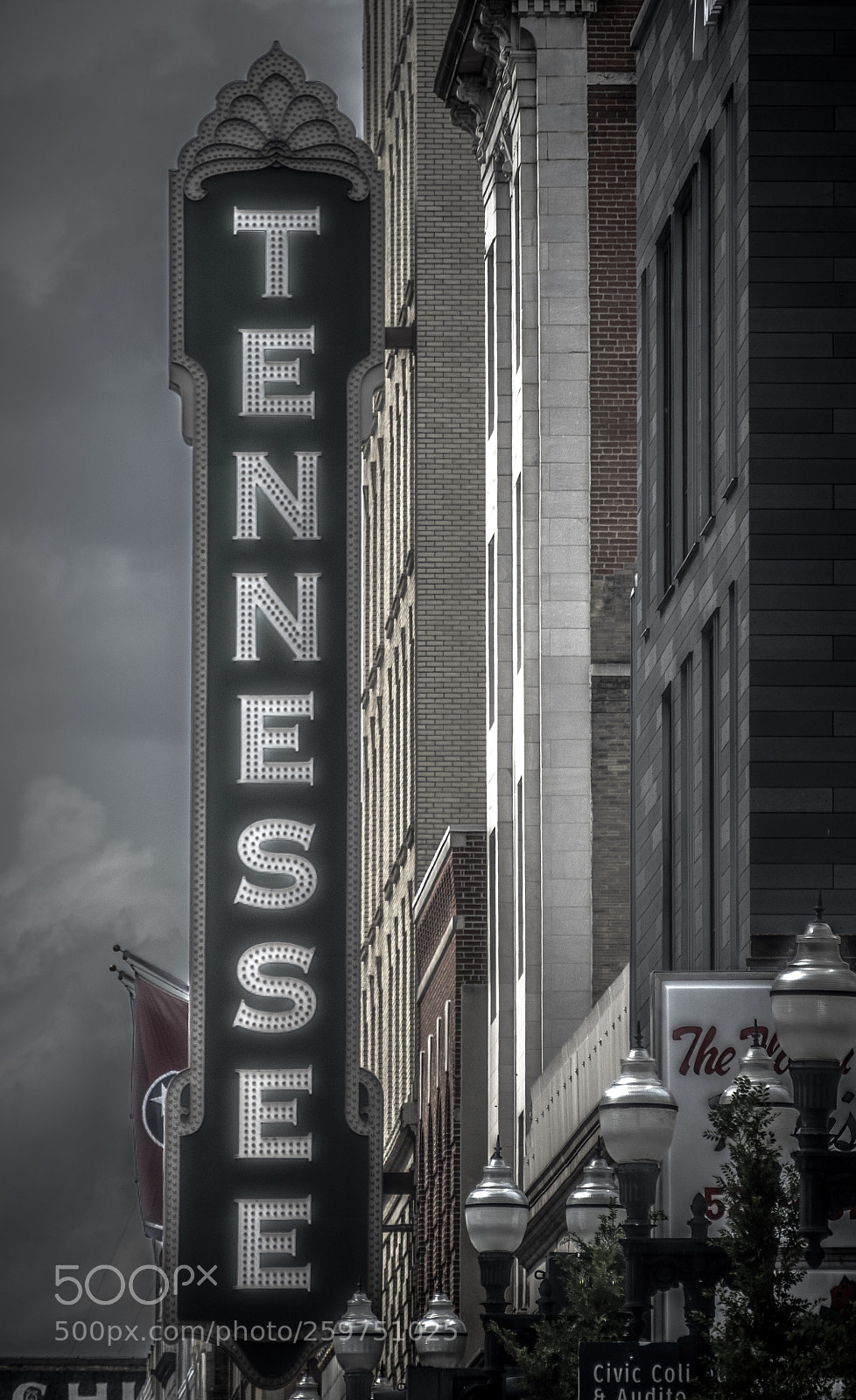 Nikon D500 sample photo. Tennessee  photography