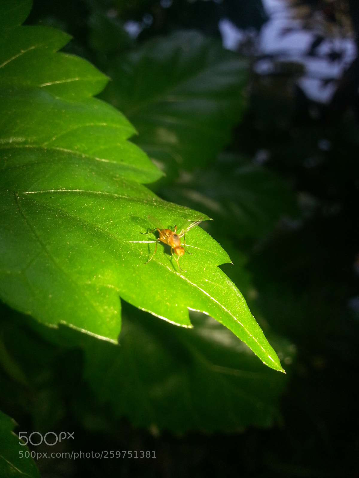 Samsung Galaxy S3 sample photo. 20160804_131803.jpg photography
