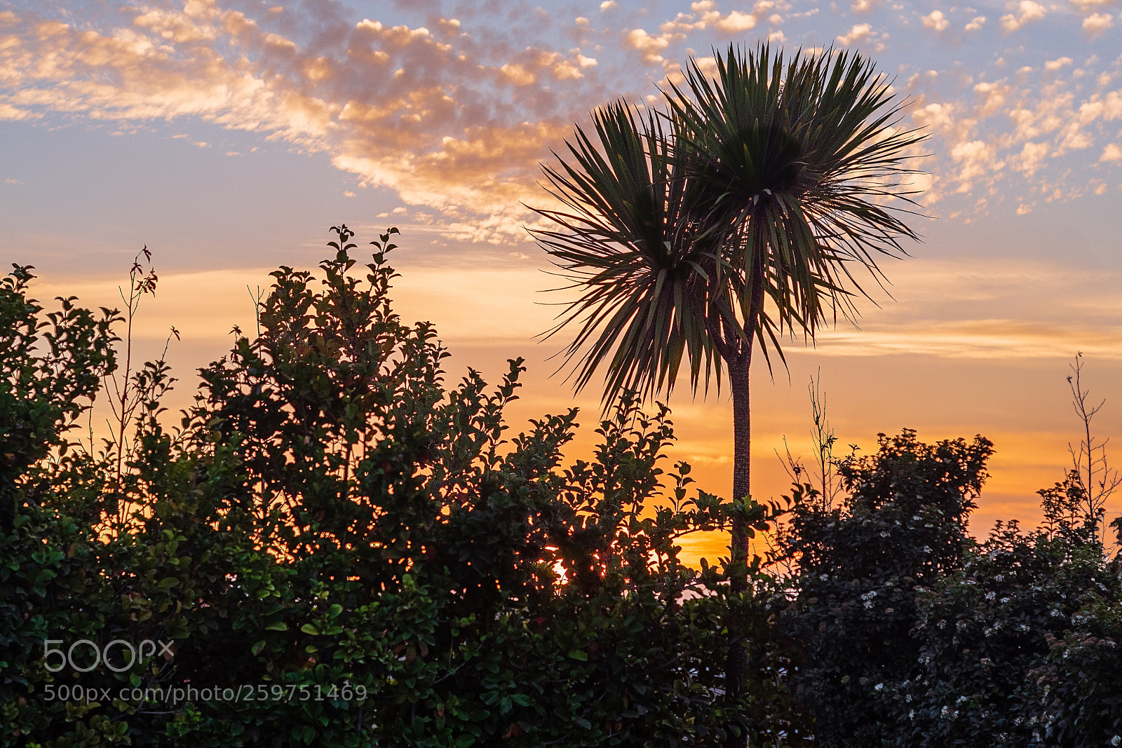 Nikon D7500 sample photo. Sunset photography