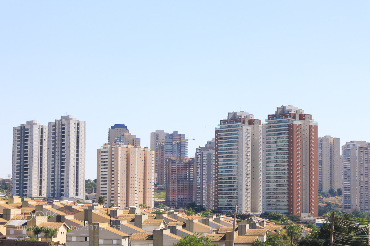 Canon EOS 700D (EOS Rebel T5i / EOS Kiss X7i) sample photo. Selva de concreto e photography