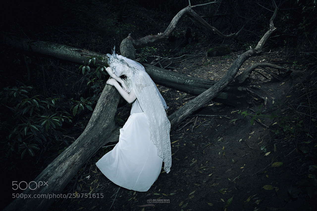 Canon EOS 5D Mark II sample photo. The ghost of the photography