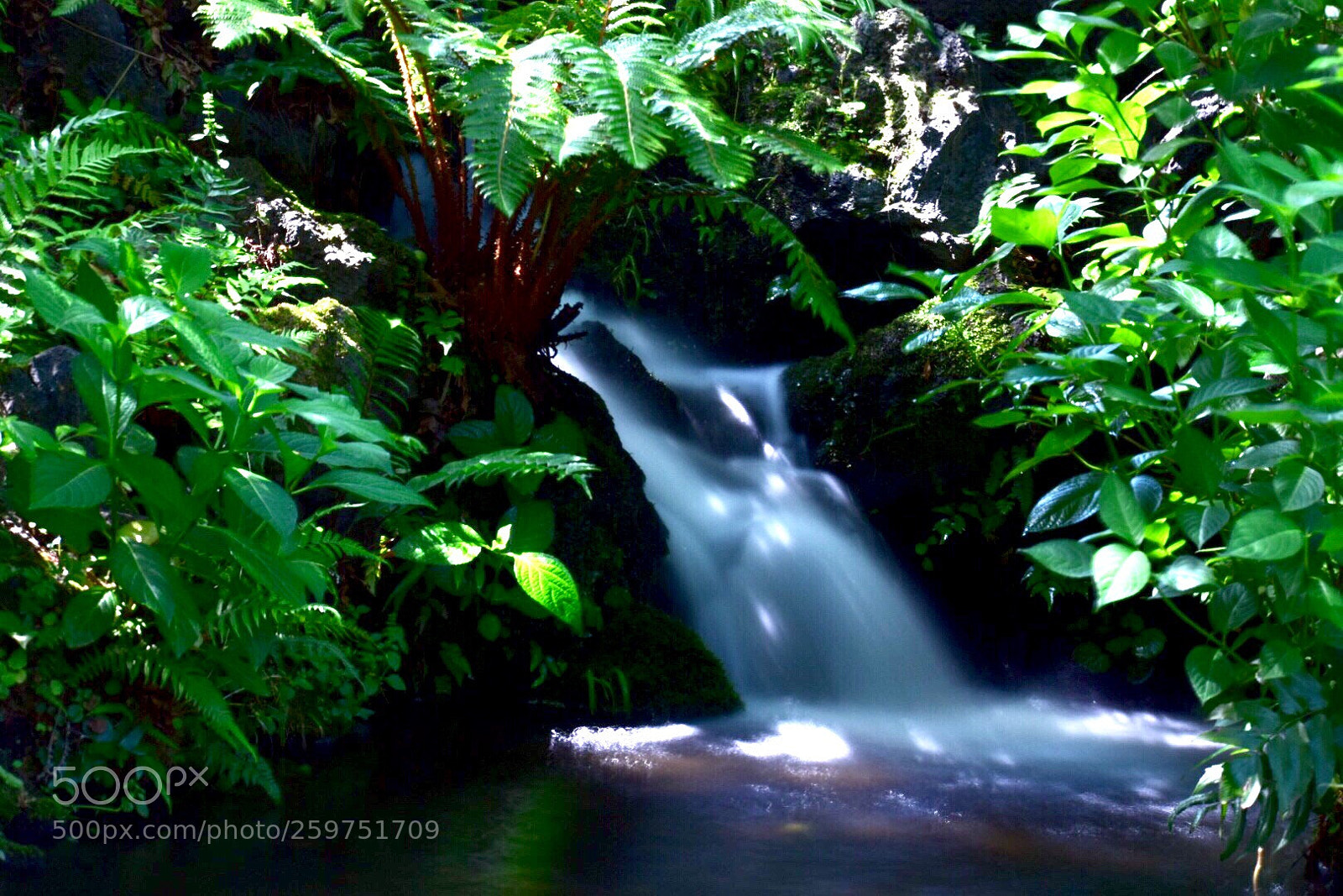Nikon D5300 sample photo. Waterfall photography