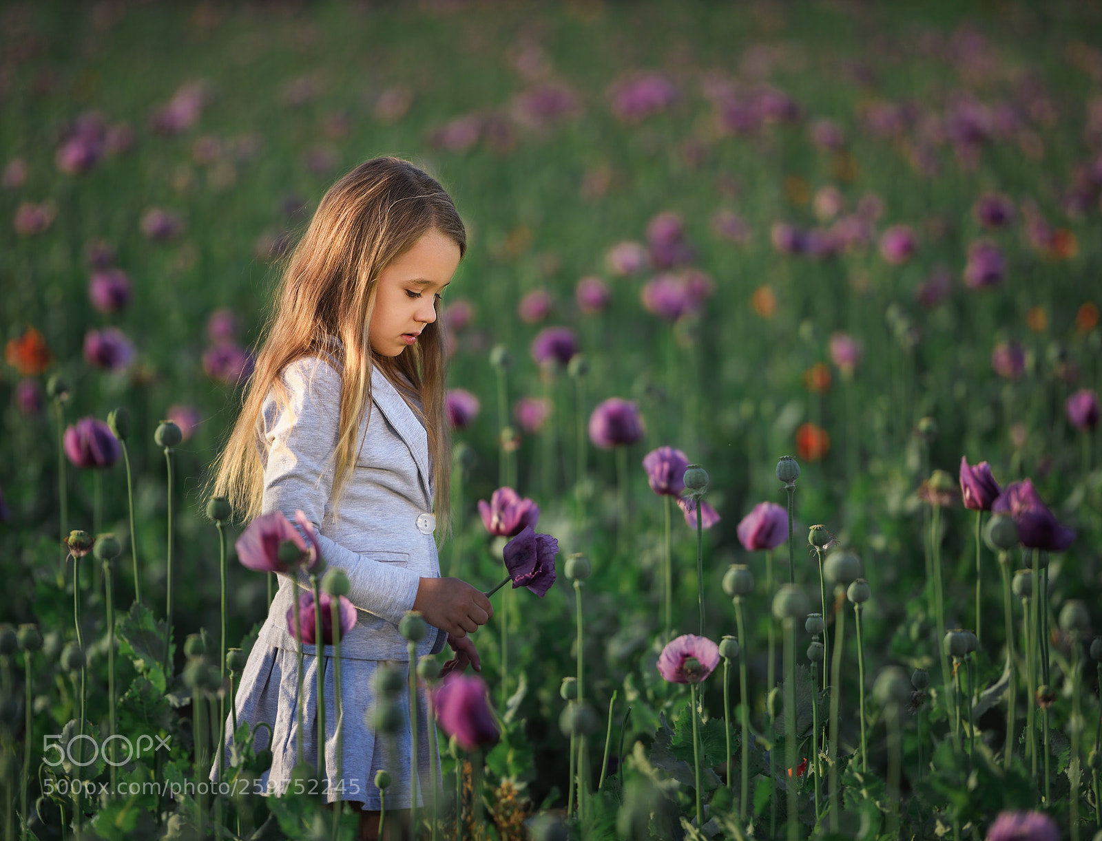 Nikon D810 sample photo. Adriana in poppies photography