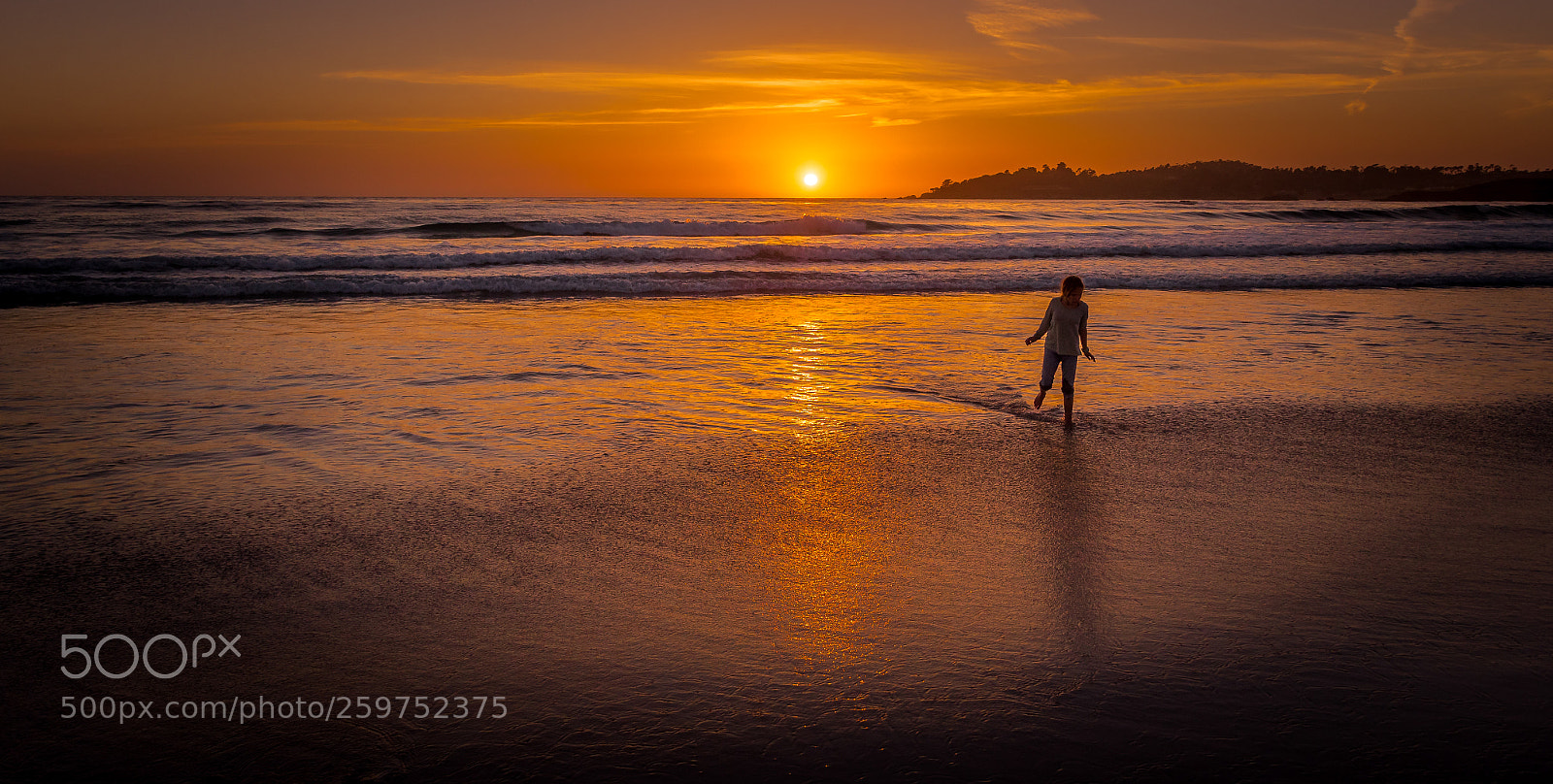 Nikon D750 sample photo. Last sun rays for photography