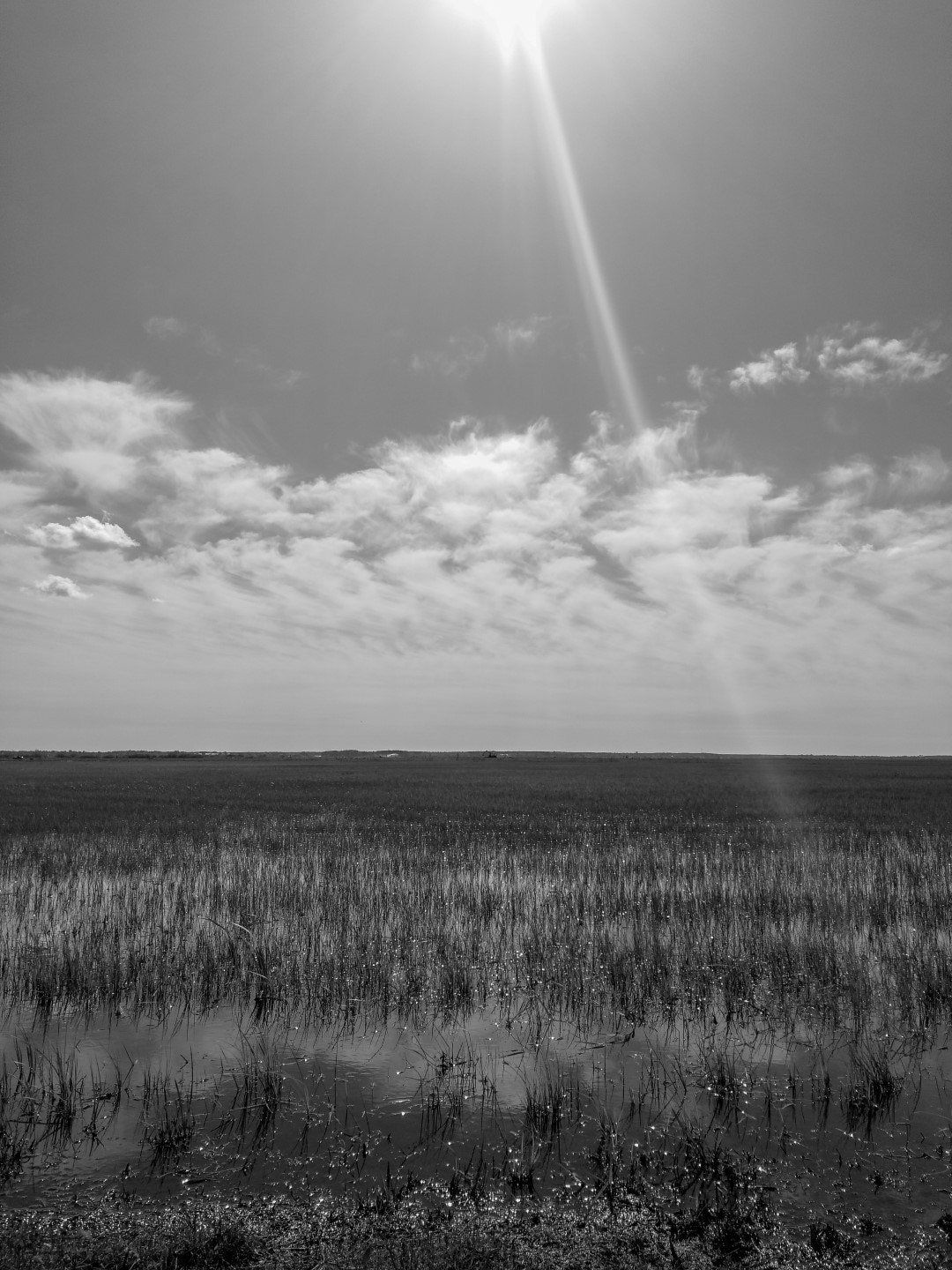 HUAWEI Honor 9 sample photo. Wetlands in april photography