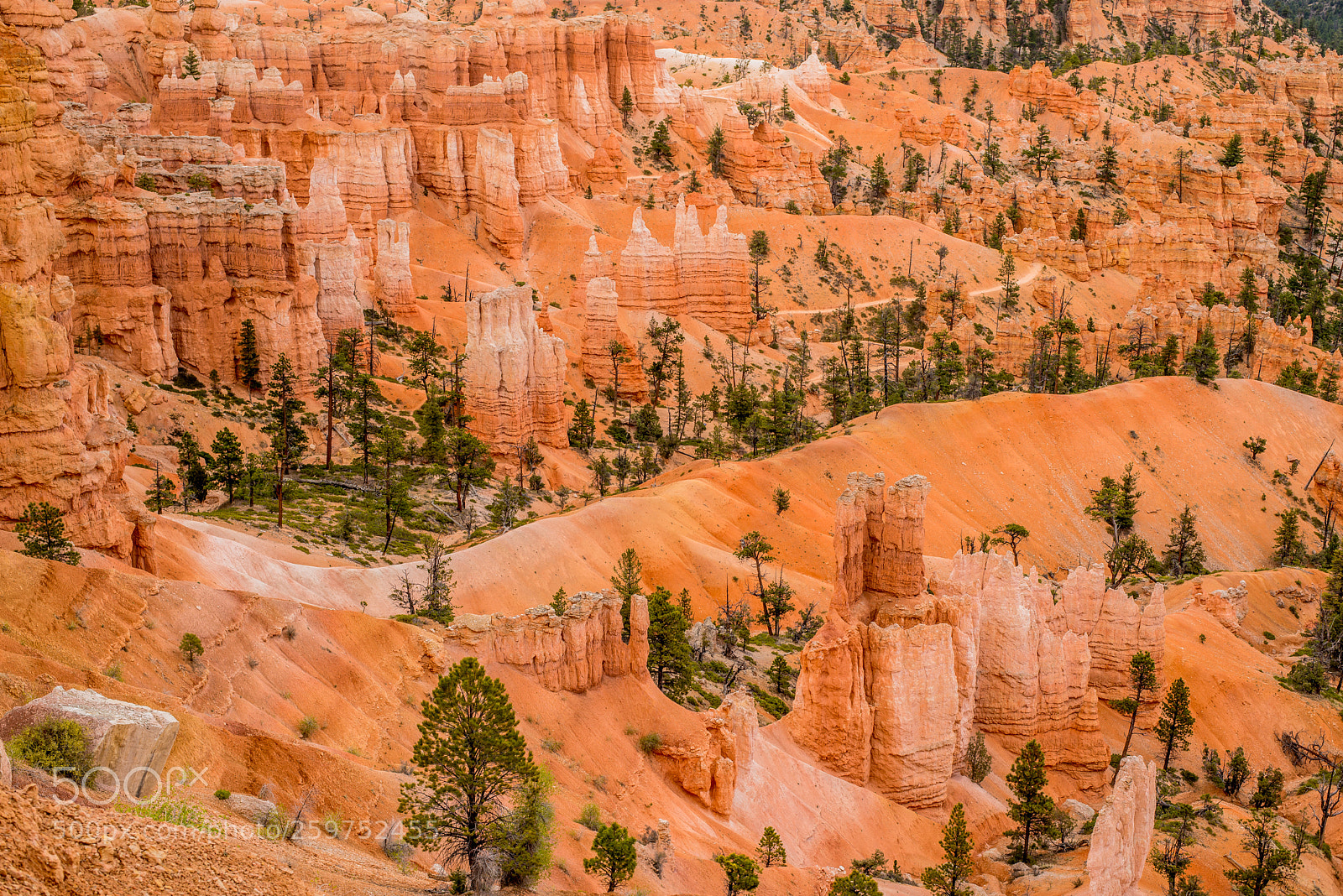 Nikon D800 sample photo. The wonderful bryce photography