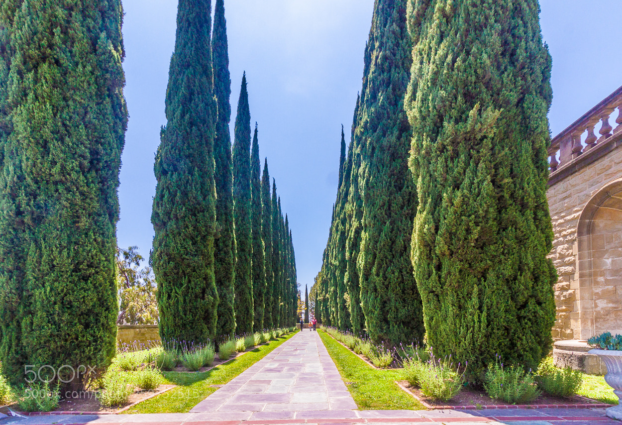 Canon EOS 500D (EOS Rebel T1i / EOS Kiss X3) sample photo. Greystone mansion, beverly hills photography
