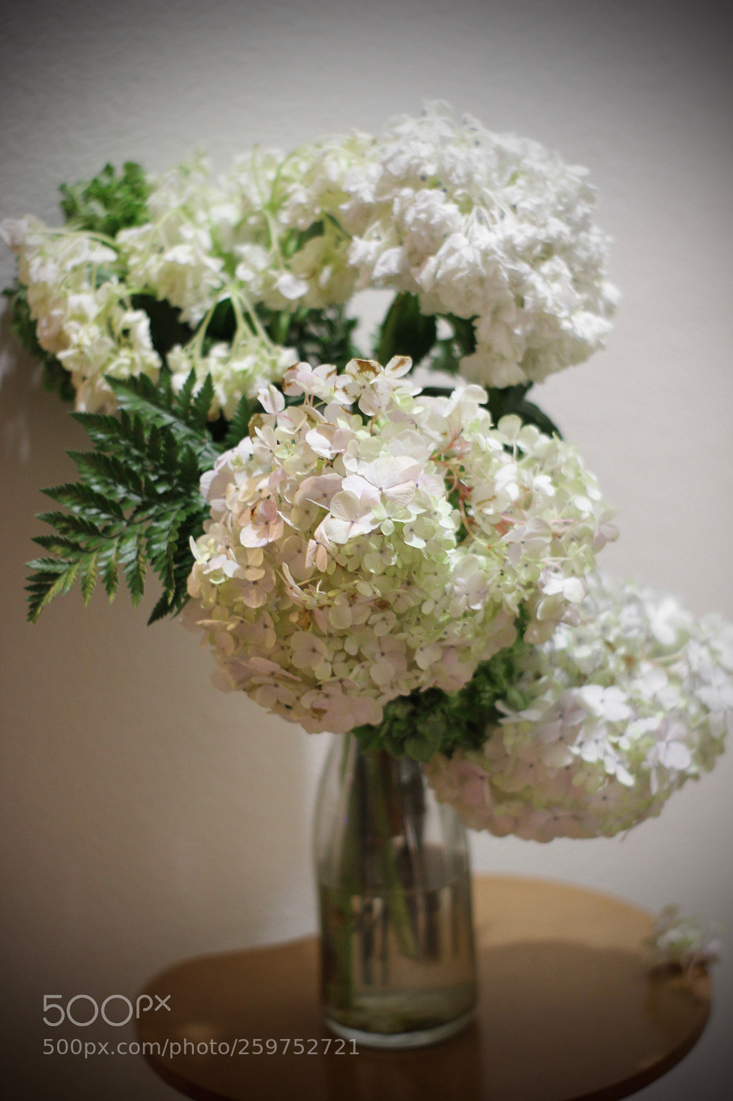 Canon EOS 550D (EOS Rebel T2i / EOS Kiss X4) sample photo. Img photography