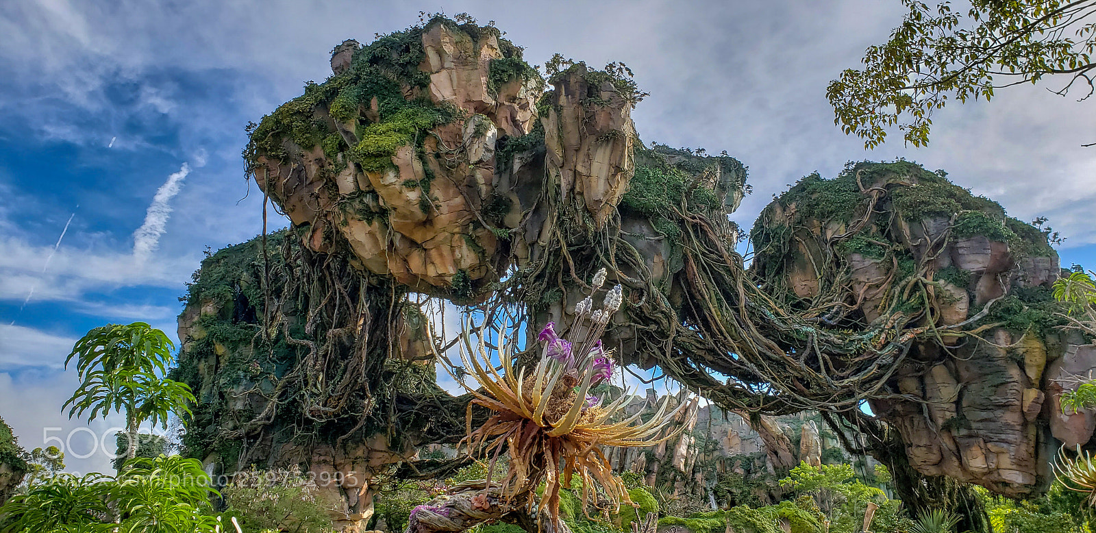 Samsung Galaxy S9+ sample photo. Pandora photography