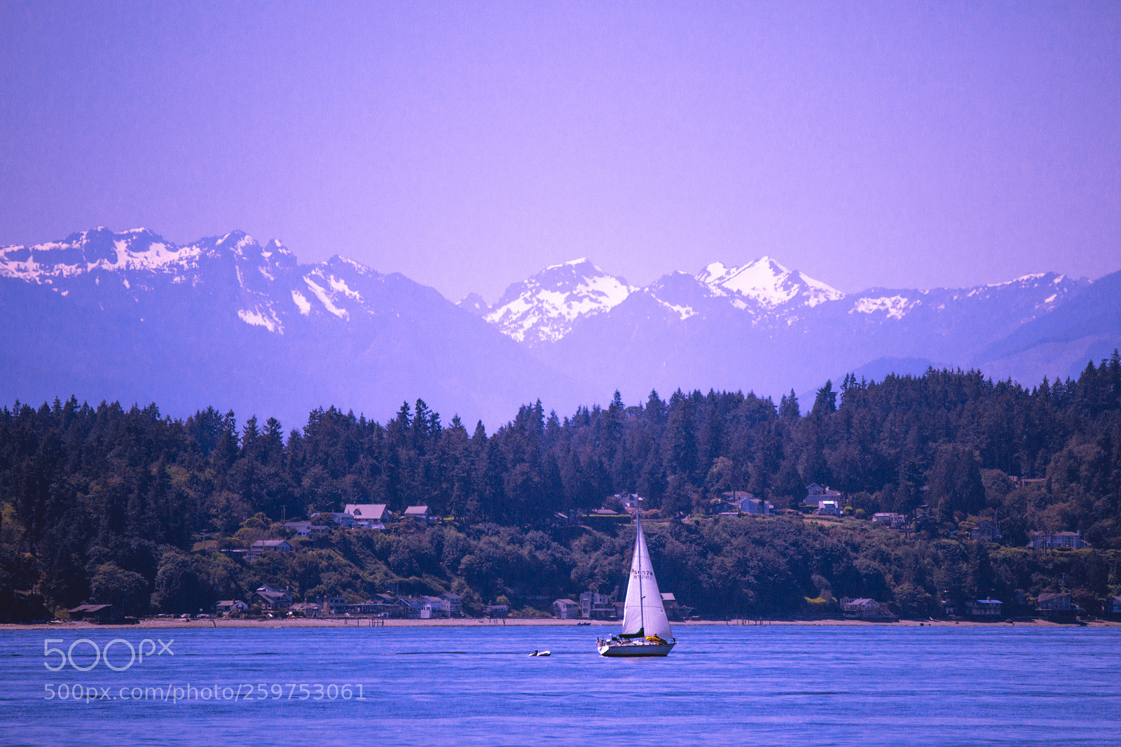 Canon EOS 600D (Rebel EOS T3i / EOS Kiss X5) sample photo. Purple mountain majesties photography