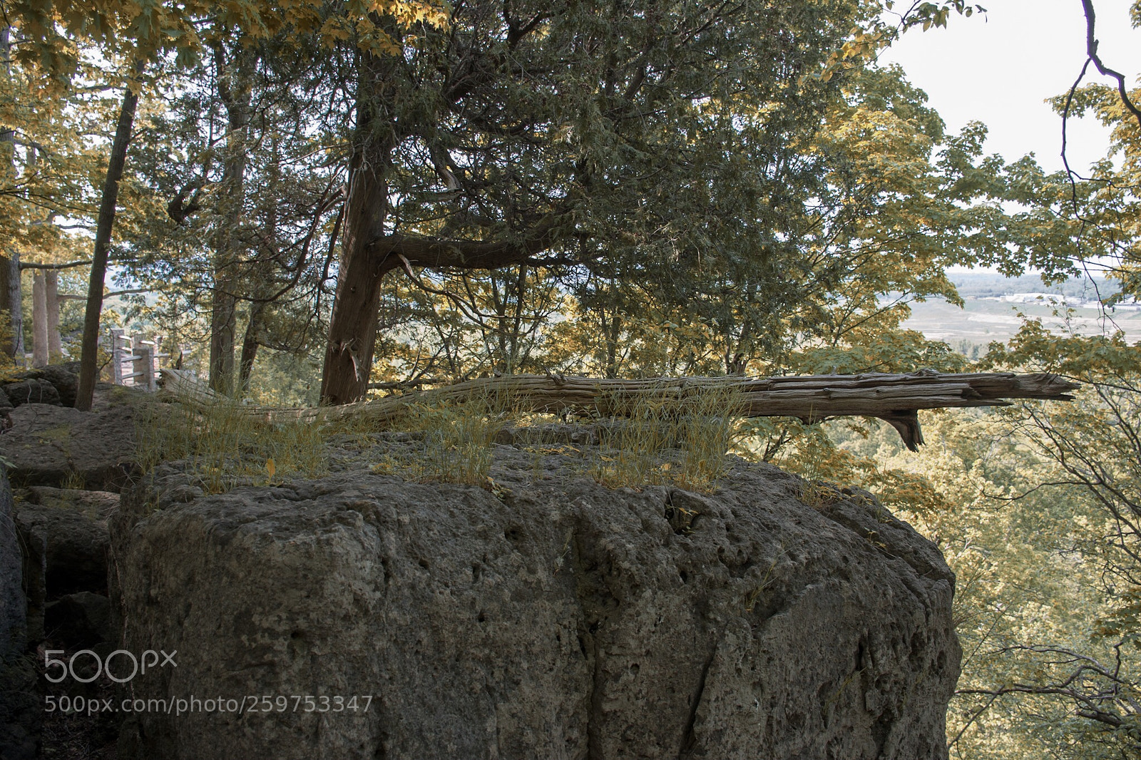 Nikon D7100 sample photo. Untitled photography