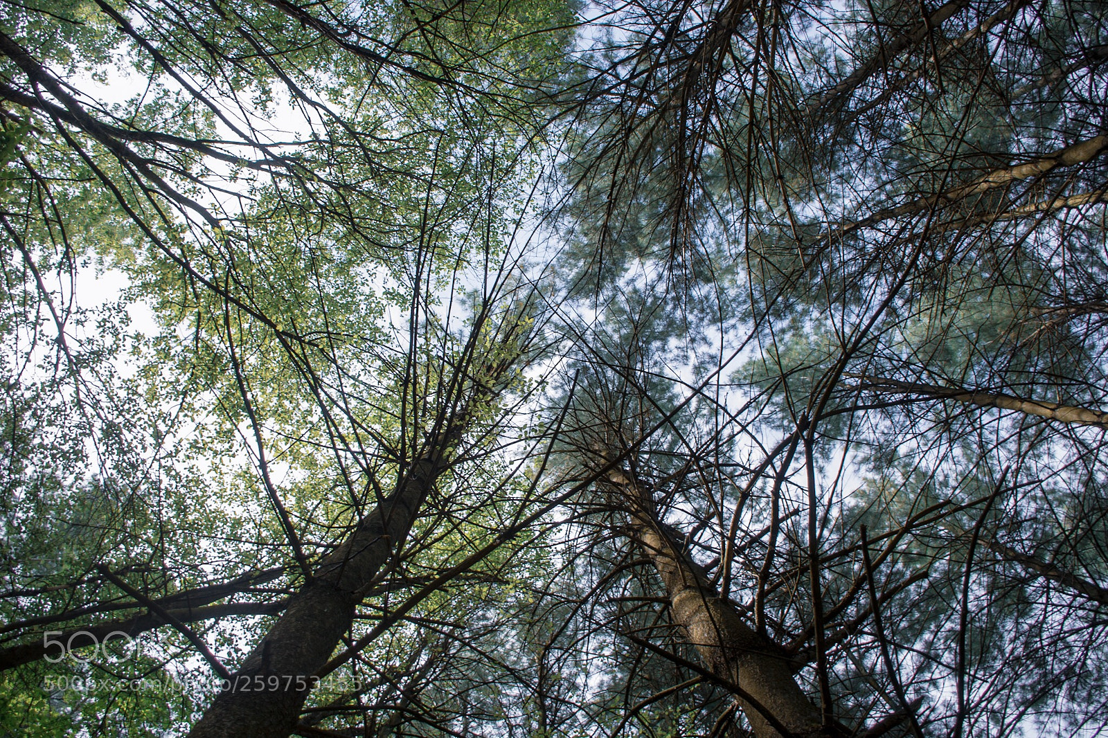 Nikon D7100 sample photo. Untitled photography