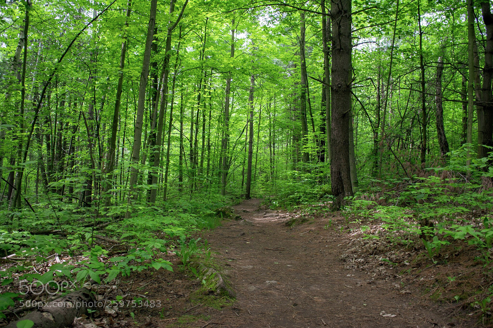Nikon D7100 sample photo. Untitled photography