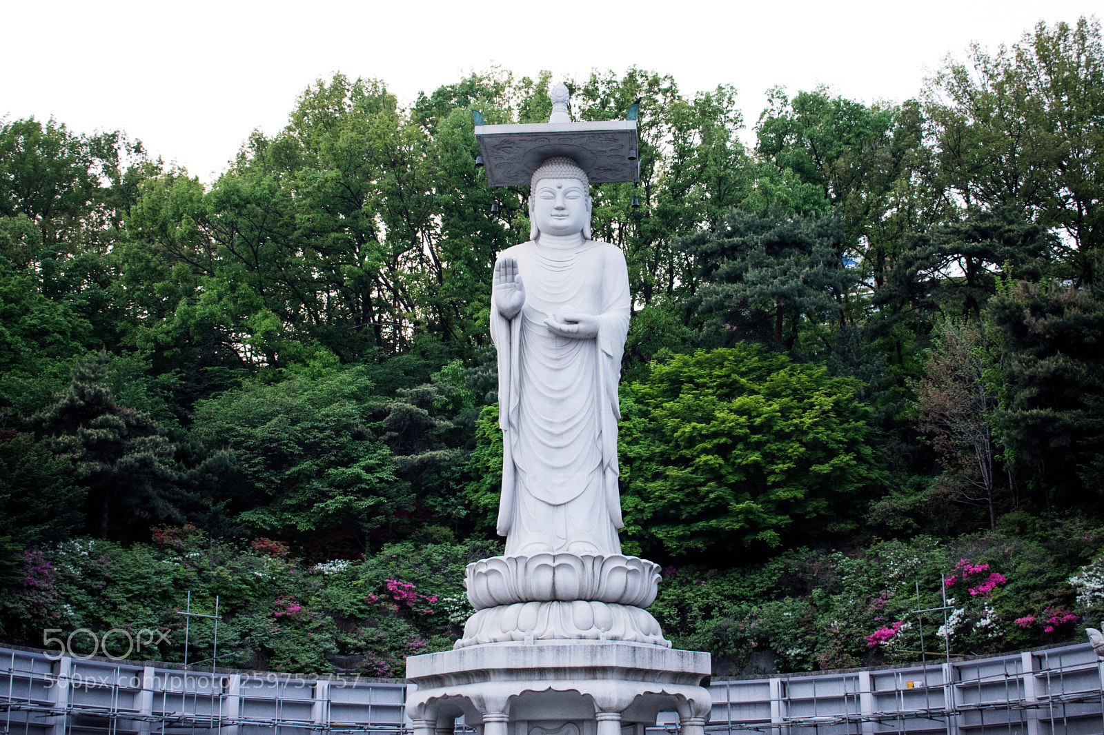 Nikon D3400 sample photo. Buddha statue, bongeunsa photography