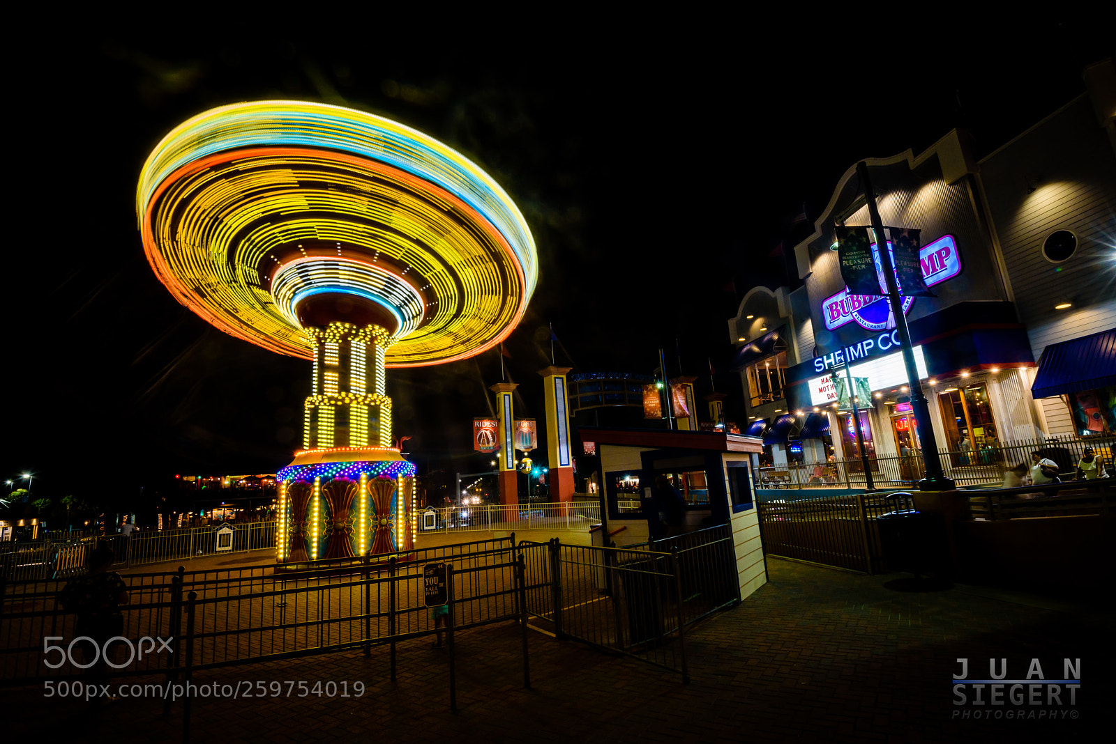 Nikon D750 sample photo. Untitled photography