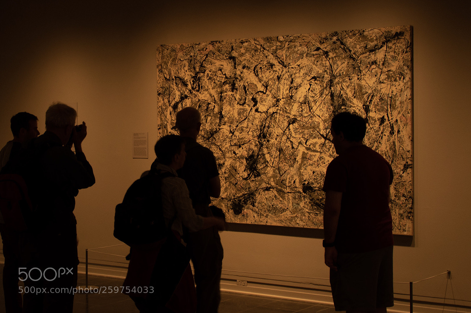 Nikon D500 sample photo. Untitled photography