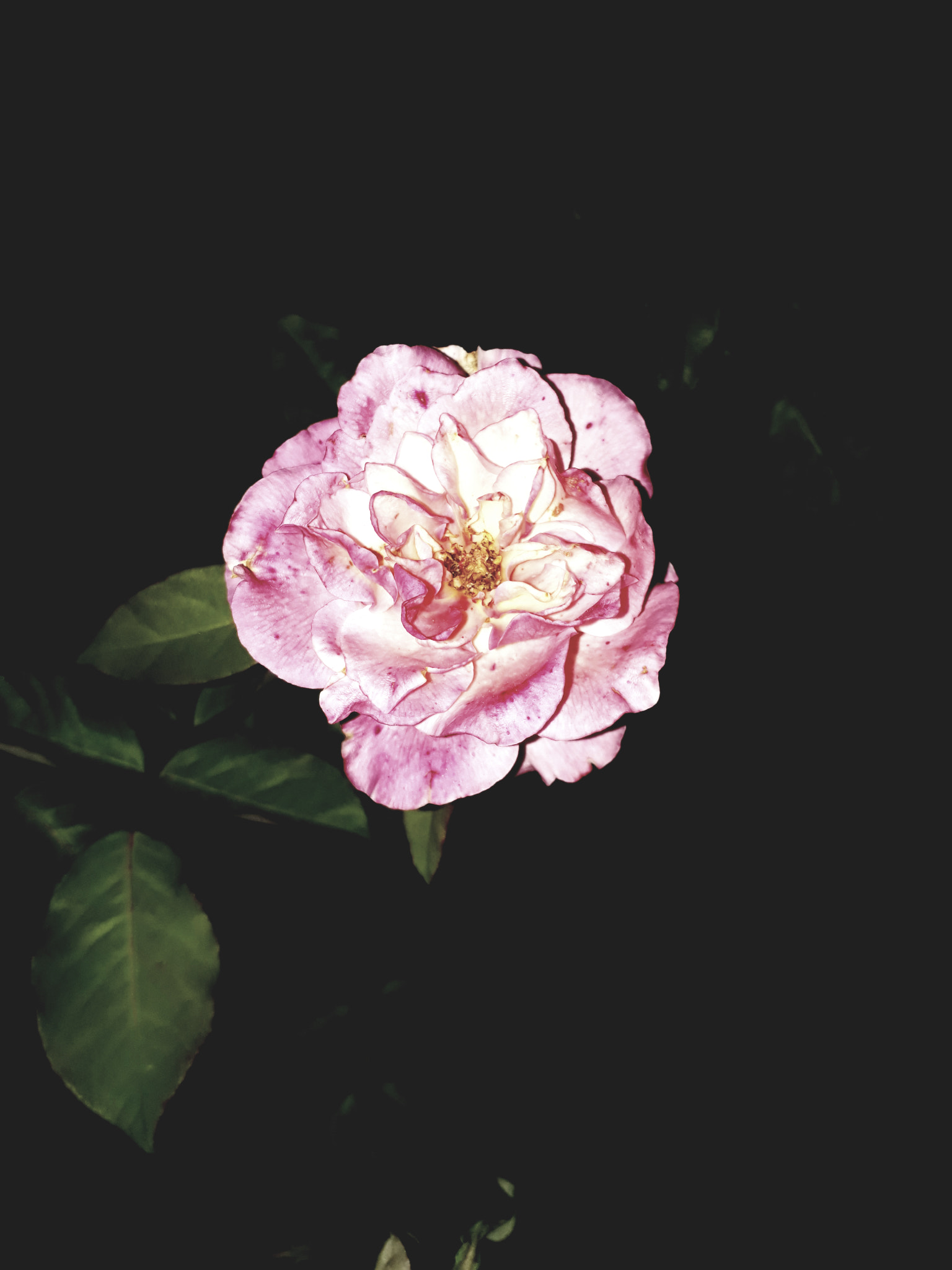 Samsung Galaxy J7 Prime sample photo