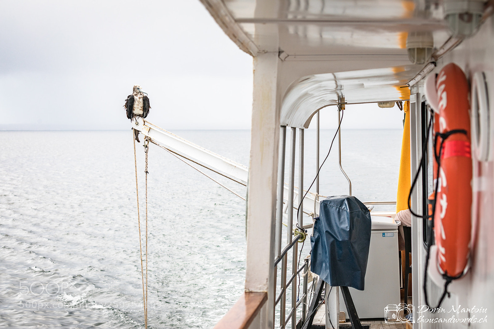 Canon EOS 5D Mark IV sample photo. Isla daphne, isla santa photography