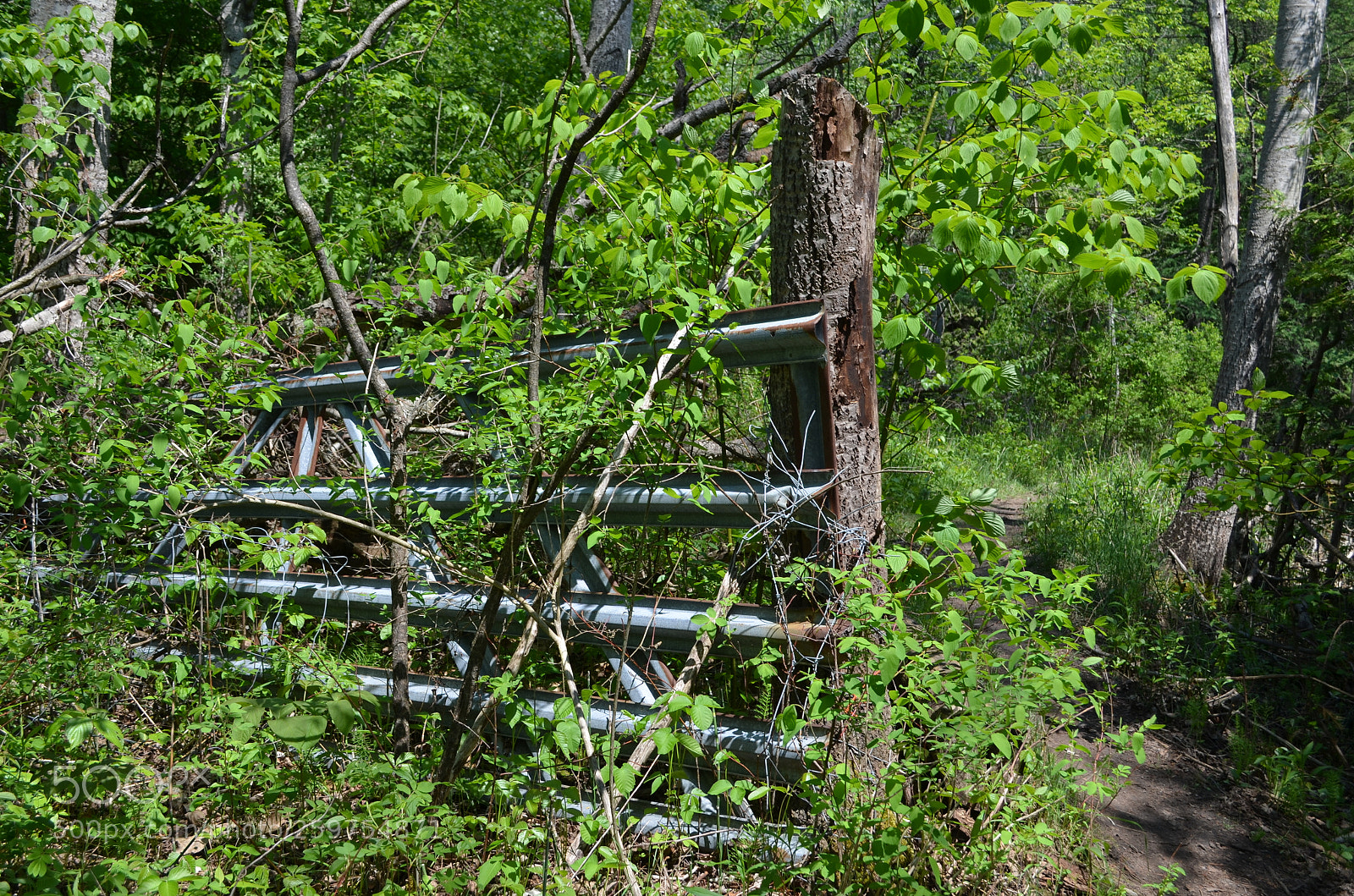 Nikon D5100 sample photo. Forgotten fence photography