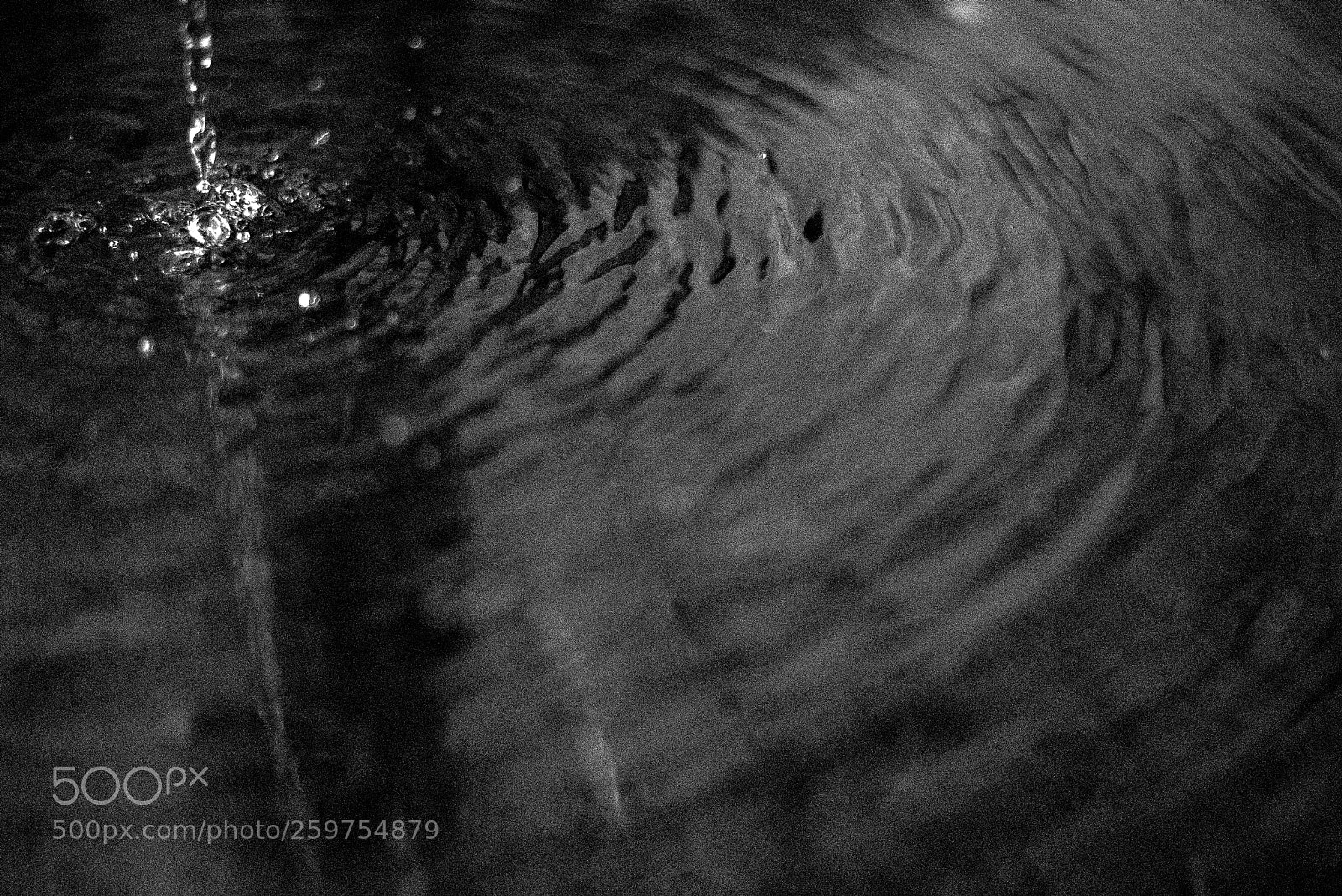 Nikon D750 sample photo. Water drop b&w photography