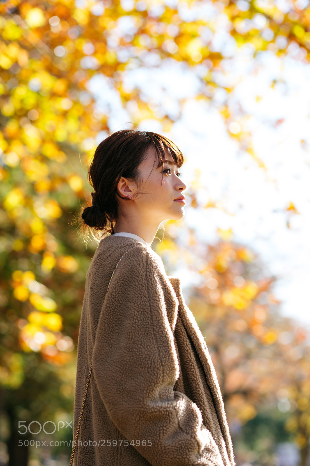 Fujifilm X-T2 sample photo. Yellow light photography
